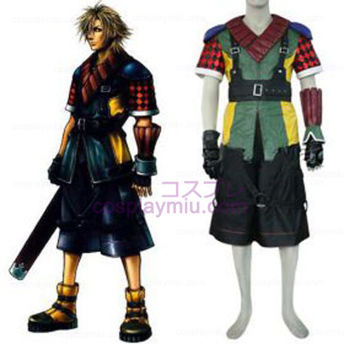 Final Fantasy XII Shuyin Cosplay Kostumer