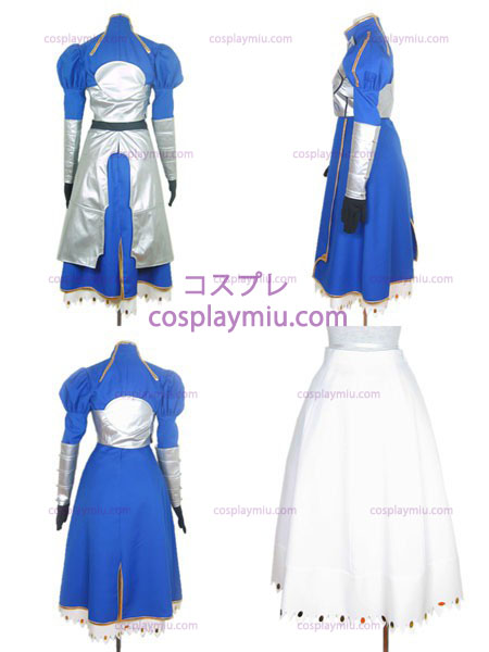 Full Set Of Armor Fate / Stay Night Saber Cosplay Kostumer