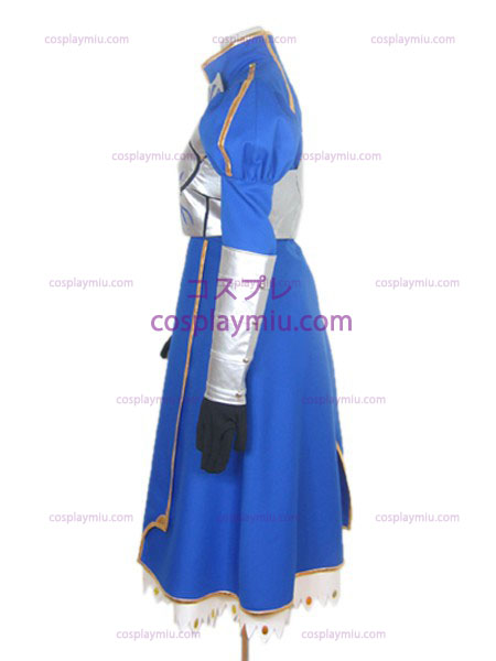 Full Set Of Armor Fate / Stay Night Saber Cosplay Kostumer