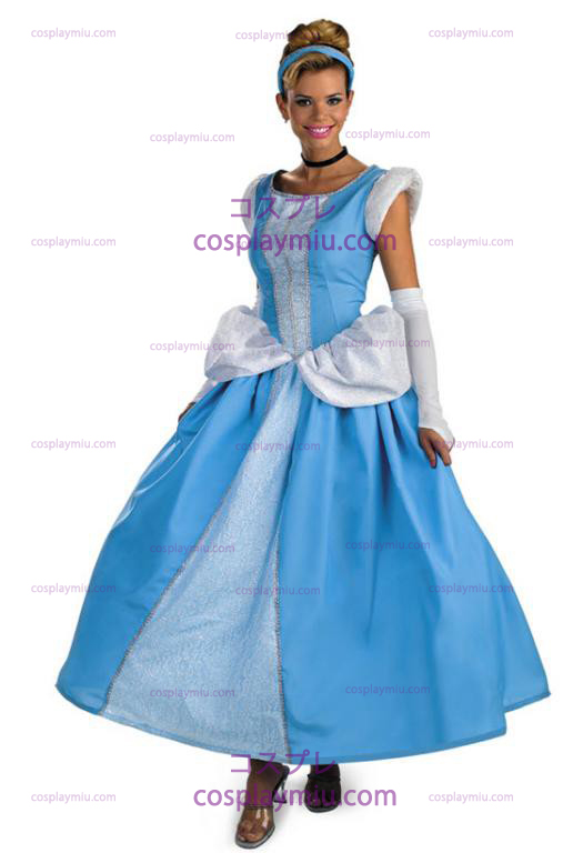 Prestige Adult Cinderella Kjoler Kostumer
