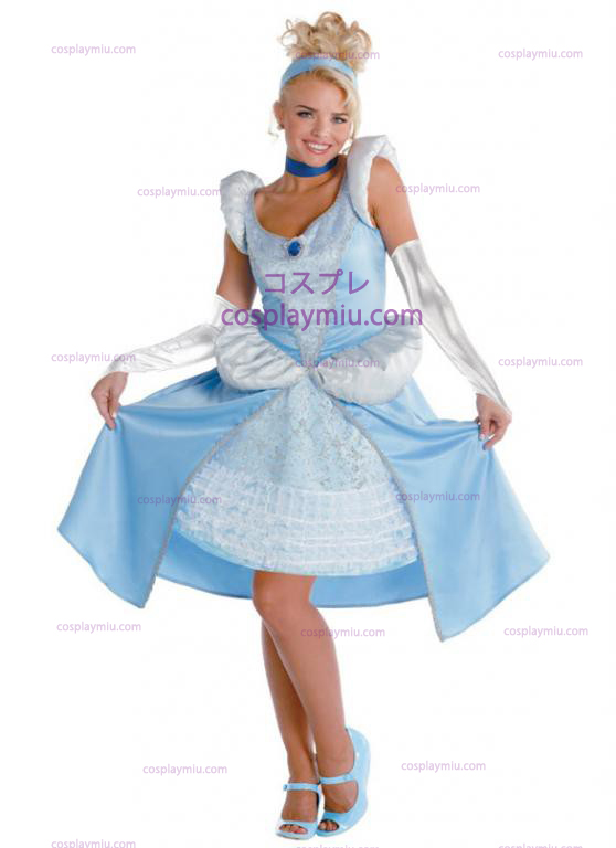Adult Cinderella Kostumer