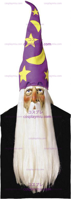 Wizard Maske With Hair og Har